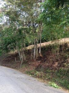 La Morita Terreno, San Antonio De Los Altos, Miranda 1204, ベネズエラ