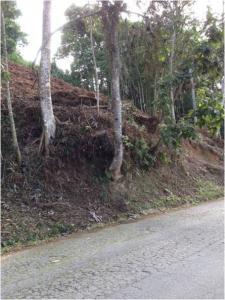 La Morita Terreno, San Antonio De Los Altos, Miranda 1204, ベネズエラ