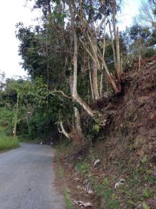 La Morita Terreno, San Antonio De Los Altos, Miranda 1204, ベネズエラ