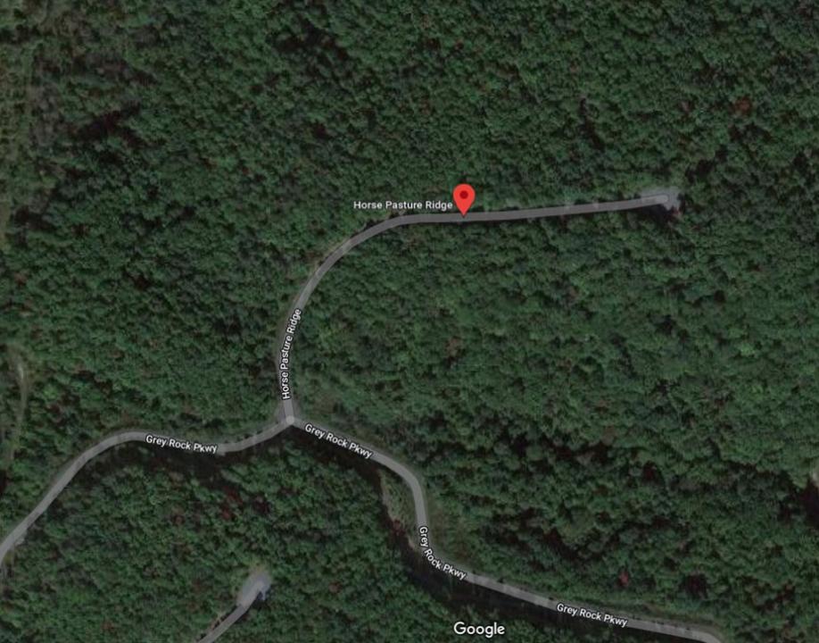 Horse Pasture Ridge Lot #123, Lake Lure, 北卡罗来纳州 28746, 美国