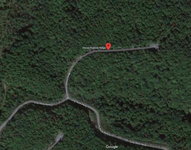 Horse Pasture Ridge Lot #123, Lake Lure, 北卡罗来纳州 28746, 美国
