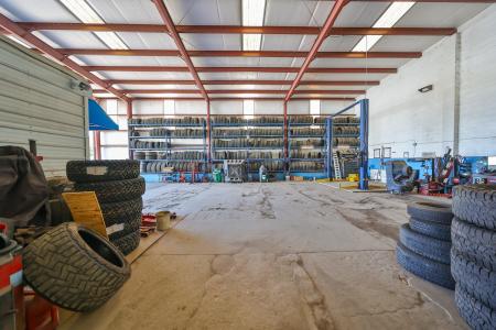 3639 Manhattan Ave S, Tampa, Floride 33629, États-Unis