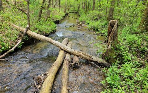LOT27 Oak Ridge Way, Ellijay, Georgia 30536, USA