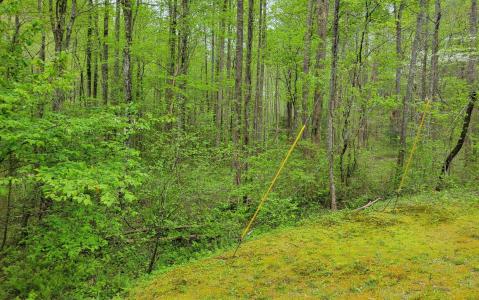 LOT27 Oak Ridge Way, Ellijay, Georgia 30536, USA