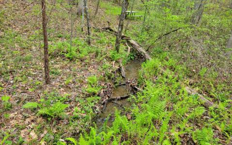 LOT27 Oak Ridge Way, Ellijay, Georgia 30536, USA