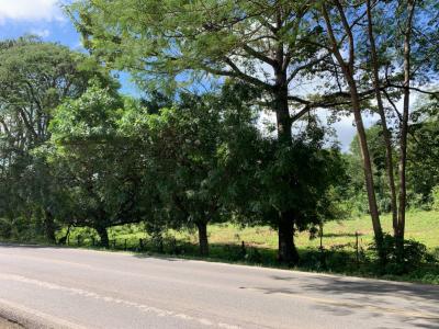 Tamarindo Santa Cruz, Guanacaste 00001, Costa Rica