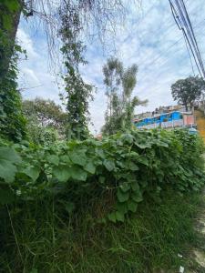 3A Cerrada Ahuejotes ,, La Magdalena Contreras, Ciudad De México 10640, Meksika