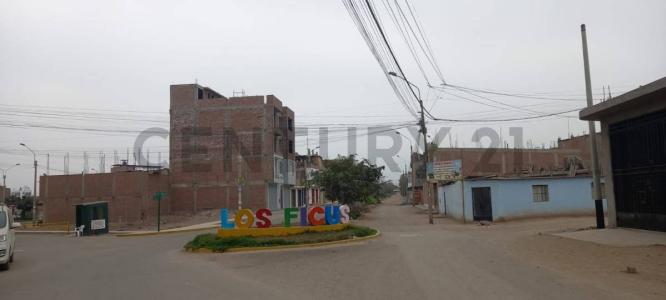 Urbanización Los Ficus II, Calle E, Mz. D - Lt. 21 , Lima, Lima 00001, Peru