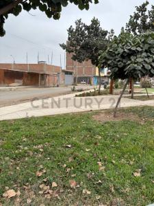 Urbanización Los Ficus II, Calle E, Mz. D - Lt. 21 , Lima, Lima 00001, Peru