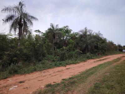 ype cañy y puesto oveja , Altos, Cordillera 00001, Paraguay