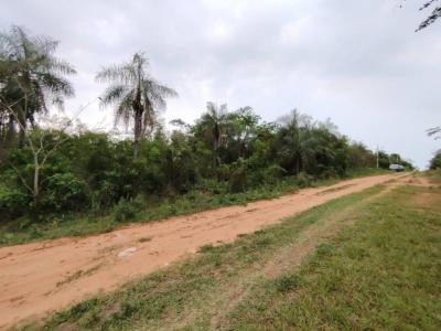 ype cañy y puesto oveja , Altos, Cordillera 00001, Paraguay
