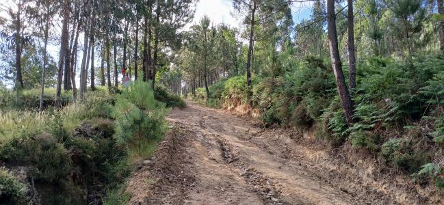 Vila Verde, Braga 4730-502, Portugal