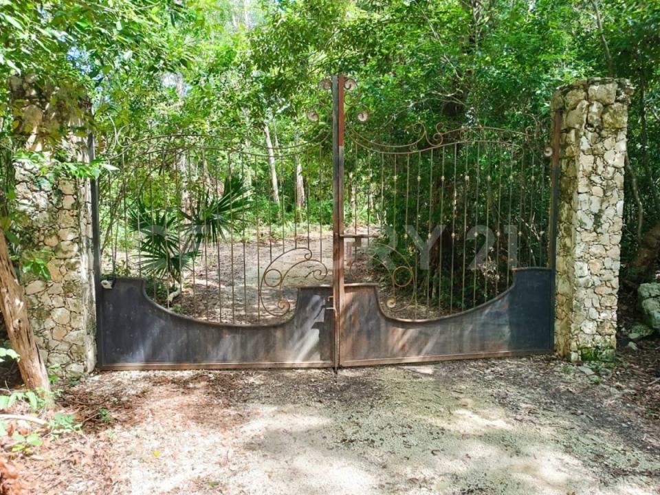 Uh May, Tulum, Quintana Roo,, Tulum, ولاية كينتانا رو 77780, المكسيك