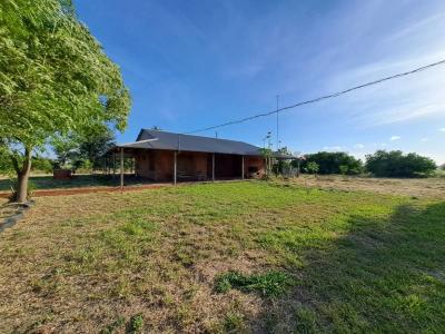 Blumengart Loma Plata , Loma Plata, Boquerón 9307, פרגוואי