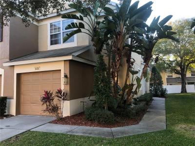 8456 SANDY BEACH STREET, TAMPA, Florida 33634, USA