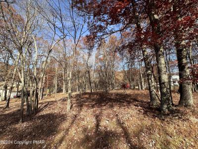 123 Bear Drive, Bushkill, Pensilvania 18328, Estados Unidos