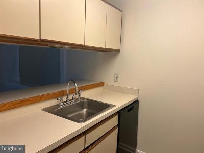 1302 Sugarwood Cir #204, Essex, Maryland 21221, USA