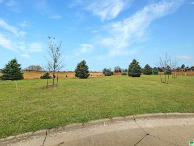 Lot 1 Sweetwater Ct, Merrill, Iowa 51038