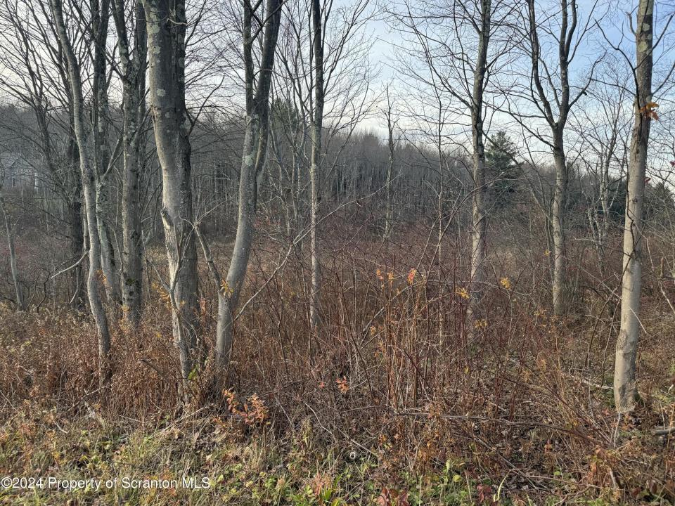 Shust, Greenfield Twp, Pennsylvania 18407, Stati Uniti