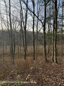 Shust, Greenfield Twp, Pennsylvania 18407, Stati Uniti