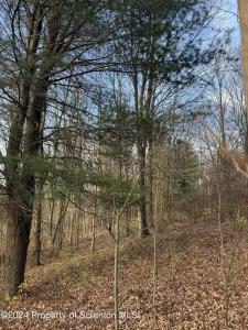 Shust, Greenfield Twp, Pennsylvania 18407, Stati Uniti