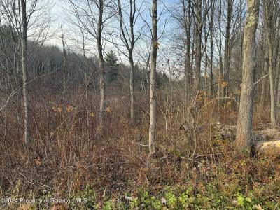 Shust, Greenfield Twp, Pennsylvania 18407, Stati Uniti
