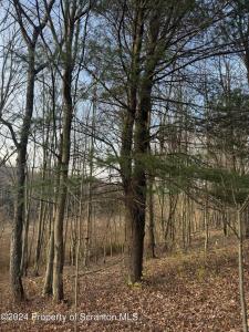 Shust, Greenfield Twp, Pennsylvania 18407, Stati Uniti