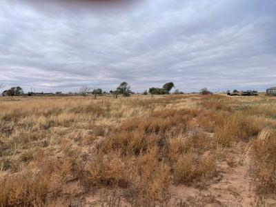 11606 County Road 6450, Shallowater, Texas 79363, USA