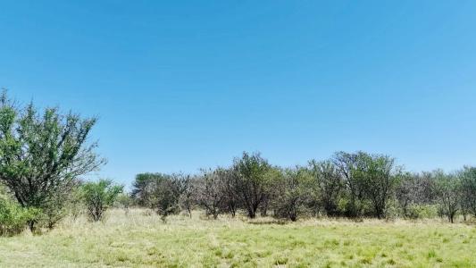 Parys, Free State, 남아프리카