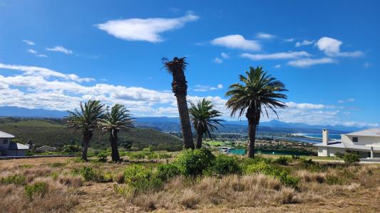 Plettenberg Bay, Western Cape, דרום אפריקה 