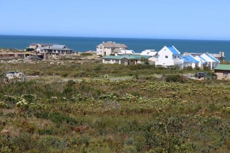 Bettys Bay, Western Cape, 南アフリカ