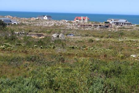 Bettys Bay, Western Cape, 南アフリカ