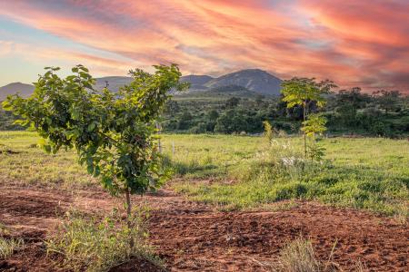 Malelane, Mpumalanga, Republika Południowej Afryki