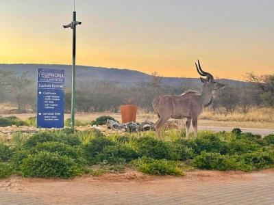 Mookgopong, Limpopo, 南非