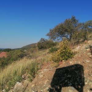 Pretoria, Gauteng, 남아프리카