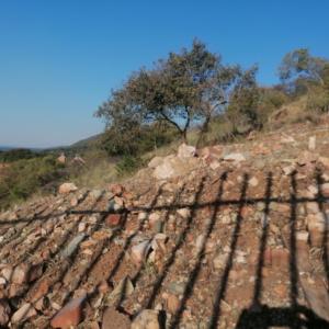 Pretoria, Gauteng, 남아프리카