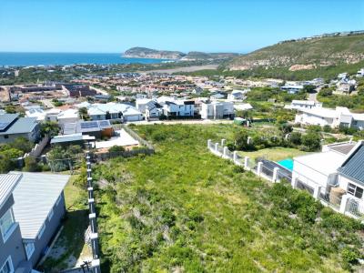 Plettenberg Bay, Western Cape, Nam Mỹ