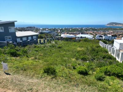 Plettenberg Bay, Western Cape, Nam Mỹ