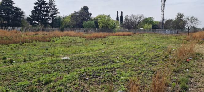 Brakpan, Gauteng, South Africa