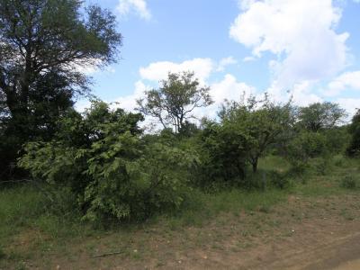 Hoedspruit, Limpopo, South Africa