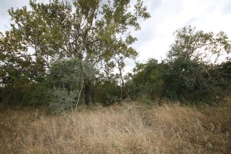 Hoedspruit, Limpopo, Republika Południowej Afryki