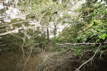 Hoedspruit, Limpopo, Republika Południowej Afryki