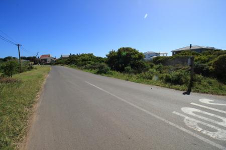 Bettys Bay, Western Cape, 南アフリカ