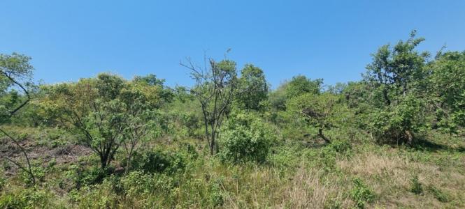 Hazyview, Mpumalanga, South Africa