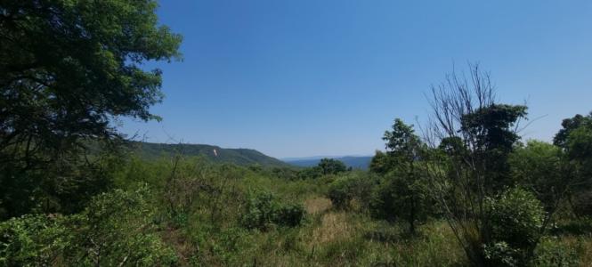 Hazyview, Mpumalanga, South Africa