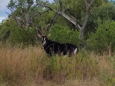 Swartruggens, North West, South Africa