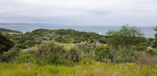 East London, Eastern Cape, 南アフリカ