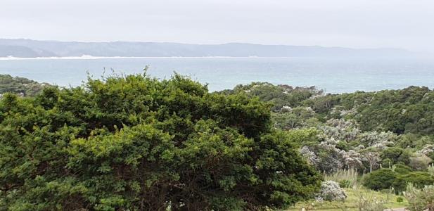 East London, Eastern Cape, 南アフリカ