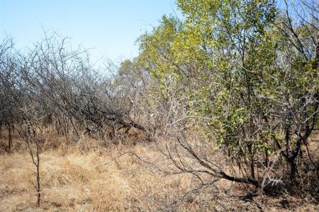 Hoedspruit, Limpopo, Republika Południowej Afryki