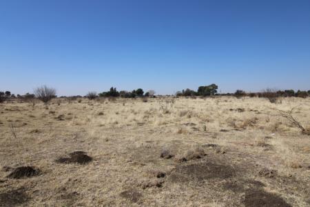 Bloemfontein, Free State, דרום אפריקה